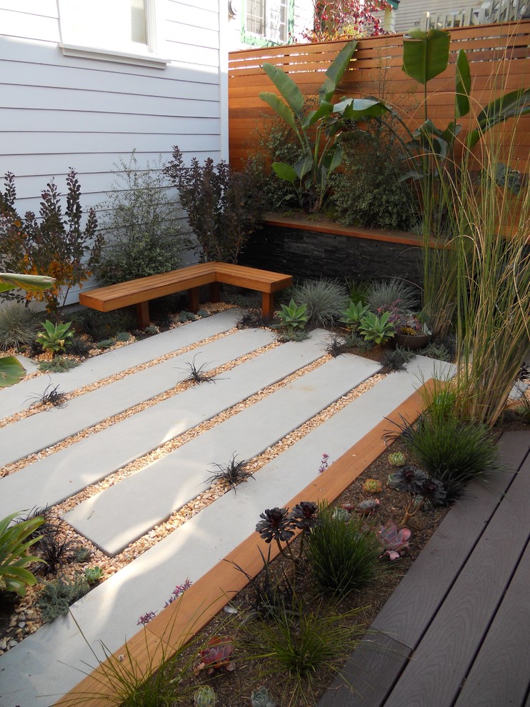 Design ideas for a small contemporary backyard landscaping in San Francisco.