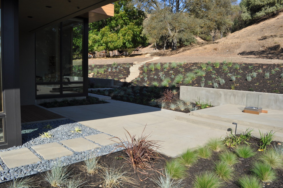This is an example of a contemporary garden in San Francisco with a retaining wall.