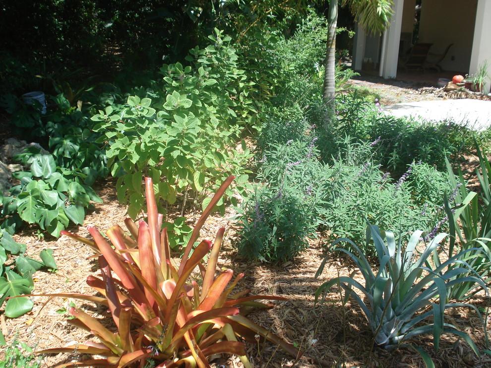 Cette photo montre un jardin arrière exotique de taille moyenne et l'été avec une exposition ensoleillée et des pavés en pierre naturelle.