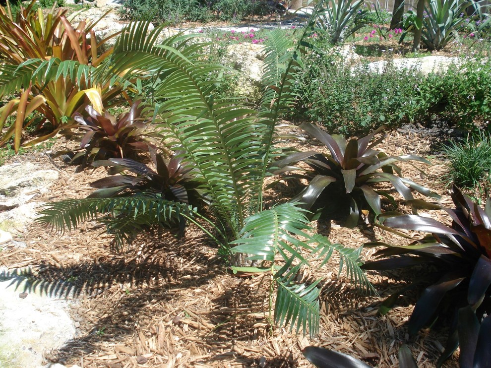 Photo of a mid-sized tropical full sun backyard stone landscaping in Miami for summer.