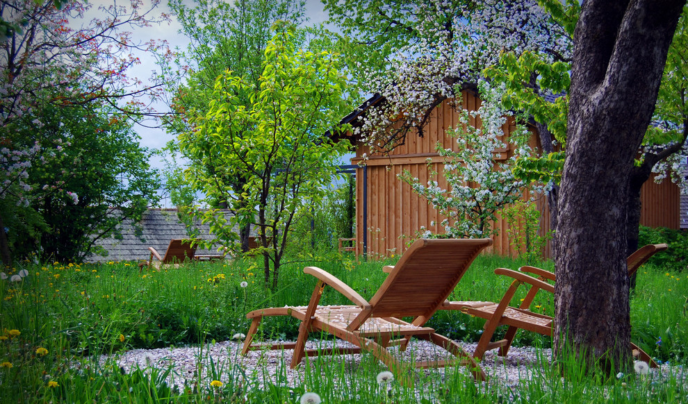 Imagen de jardín actual en patio trasero con gravilla