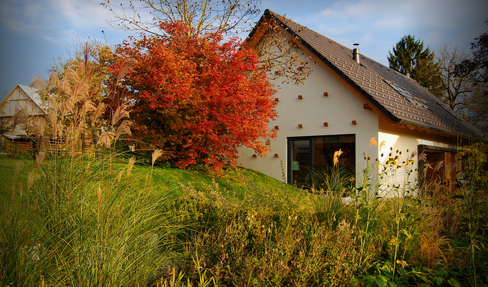 Idee per un giardino minimal dietro casa in autunno