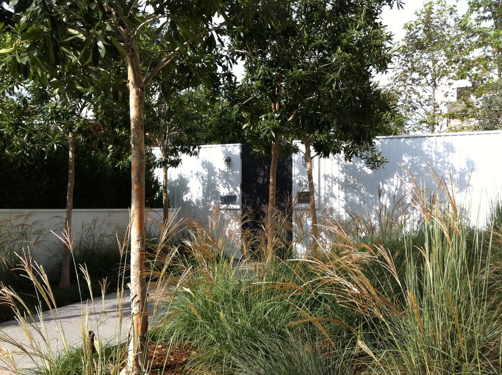 Contemporary front garden in Los Angeles.