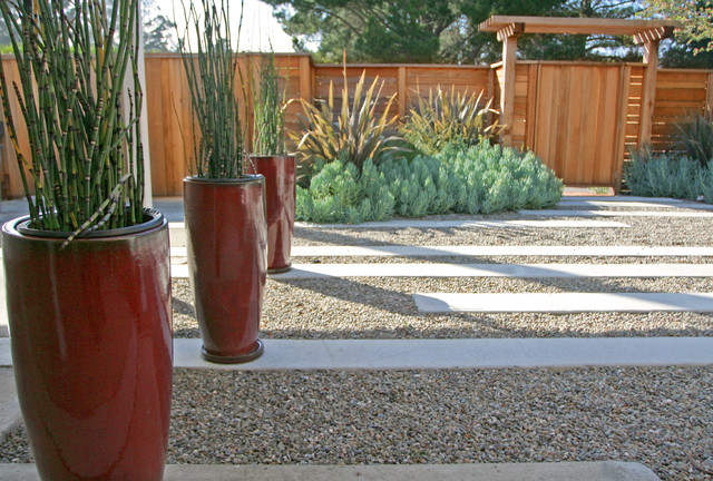 Contemporary Landscape Contemporain Jardin San Francisco Houzz