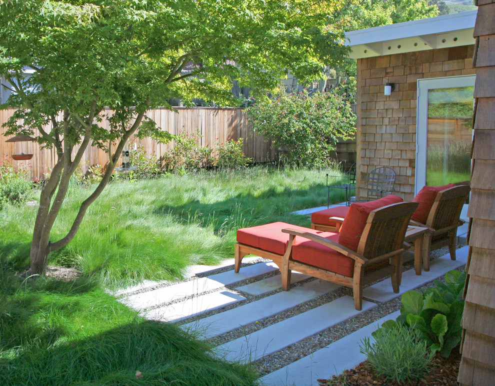 Photo of a contemporary backyard landscaping in San Francisco.