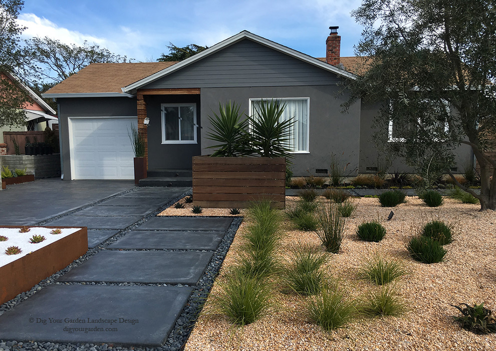 サンフランシスコにある高級な中くらいな、夏のコンテンポラリースタイルのおしゃれな庭 (庭への小道、日向、コンクリート敷き	) の写真