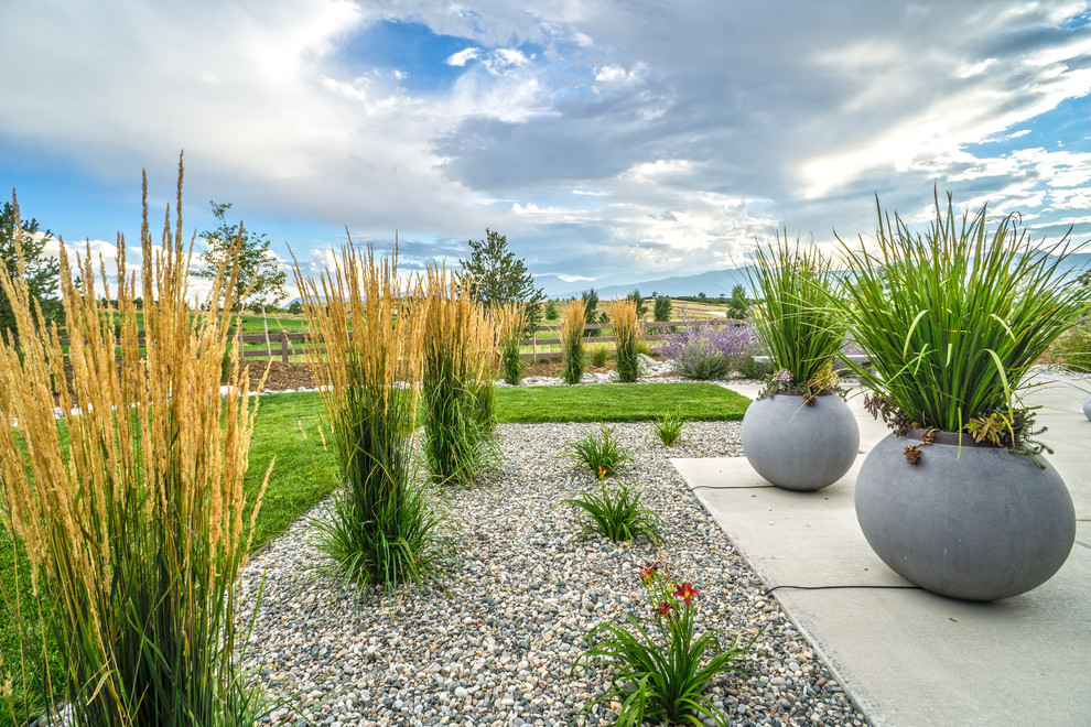 Großer, Schattiger Moderner Garten hinter dem Haus, im Herbst mit Betonboden und Kübelpflanzen in Denver