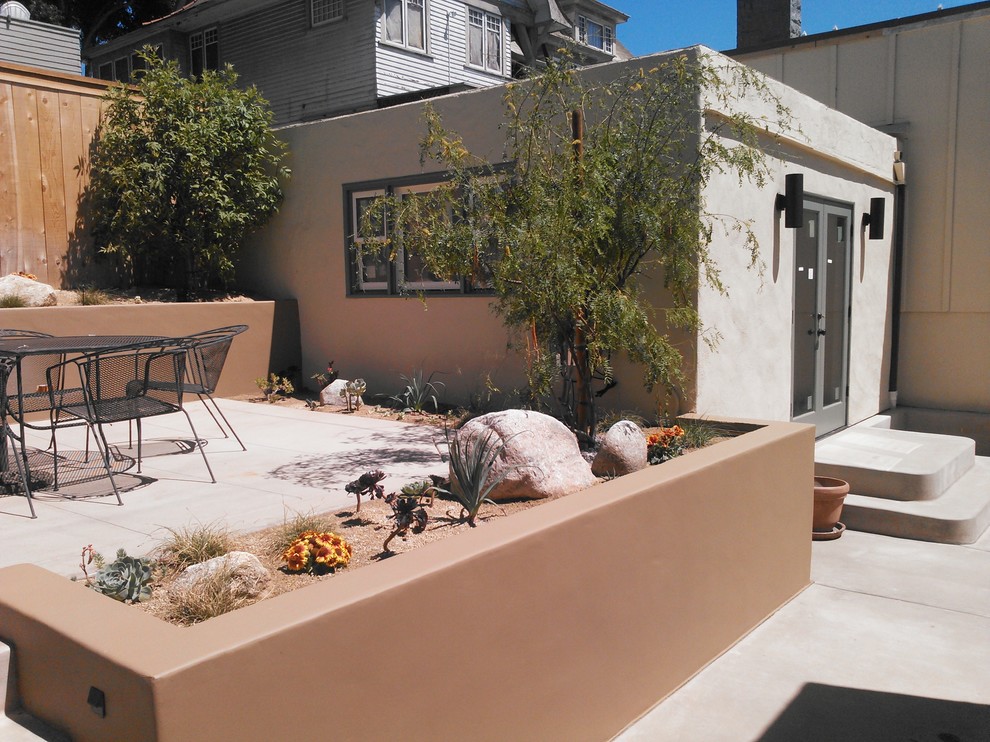 Diseño de jardín de secano contemporáneo grande en patio trasero con muro de contención y exposición total al sol