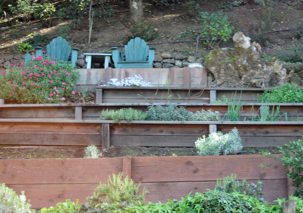 Photo of a large contemporary shade hillside gravel landscaping in San Francisco for fall.