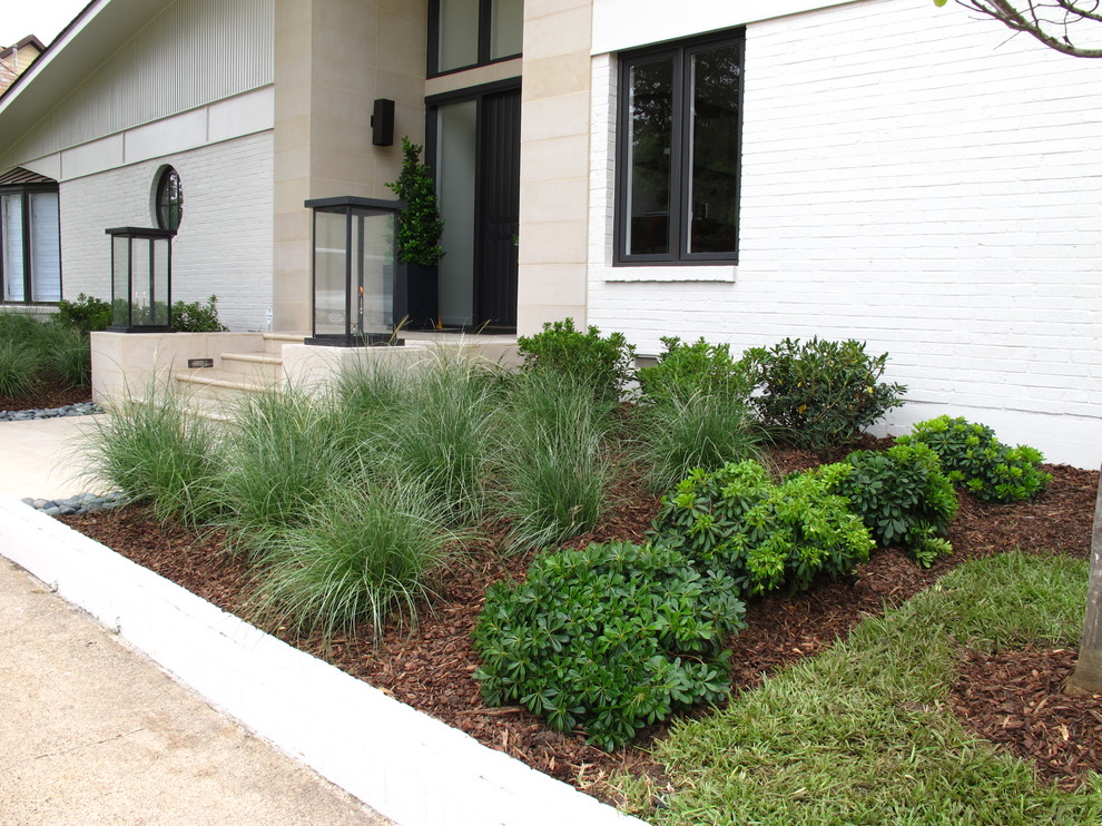 Design ideas for a contemporary partial sun front yard landscaping in Dallas.
