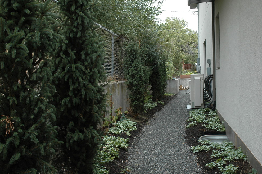 Esempio di un piccolo giardino formale minimalista esposto a mezz'ombra nel cortile laterale in estate con un ingresso o sentiero e ghiaia
