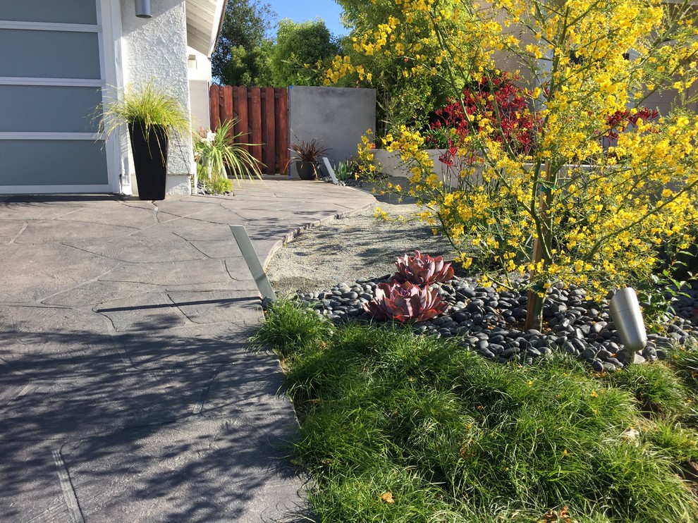 ロサンゼルスにある広いコンテンポラリースタイルのおしゃれな庭 (庭への小道、半日向、コンクリート敷き	) の写真