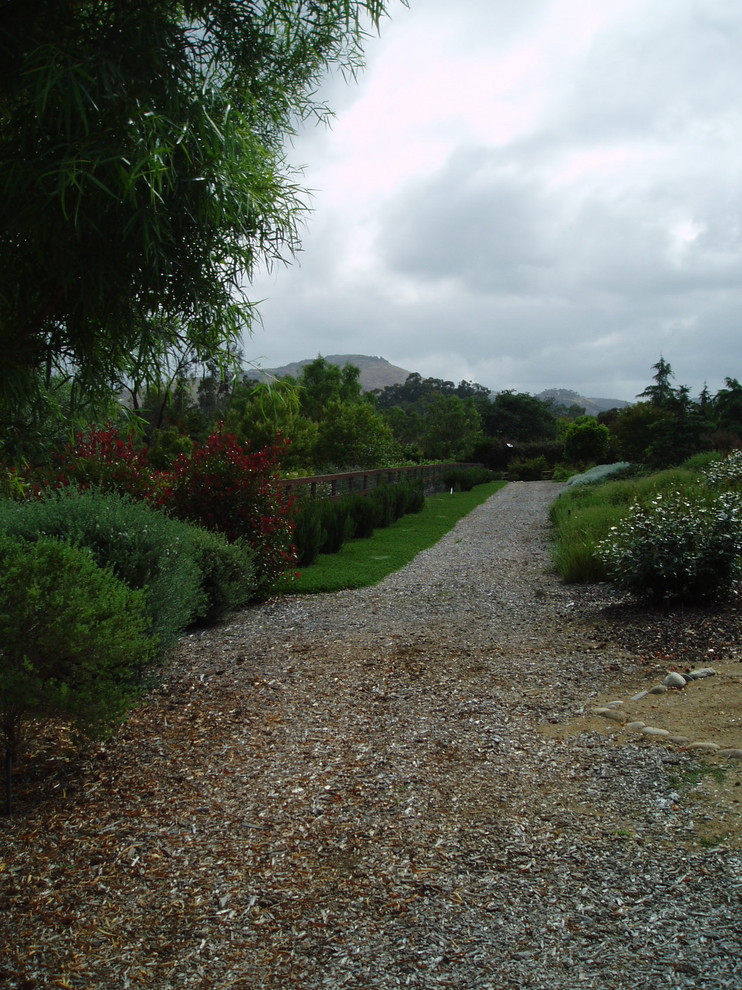 Contemporary Rancho Santa Fe Landscape Xeriscape Contemporary