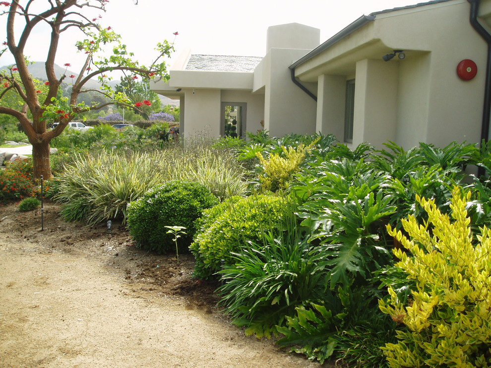 Mittelgroßer Moderner Garten hinter dem Haus mit Feuerstelle und Natursteinplatten in San Diego