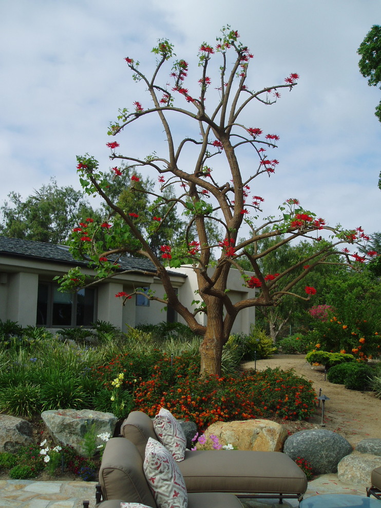 Photo of a contemporary landscaping in San Diego.
