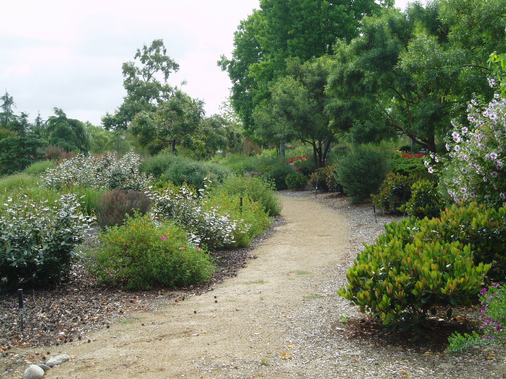 This is an example of a contemporary drought-tolerant landscaping in San Diego.