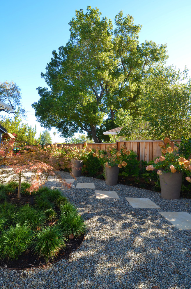 サンフランシスコにあるコンテンポラリースタイルのおしゃれな庭の写真