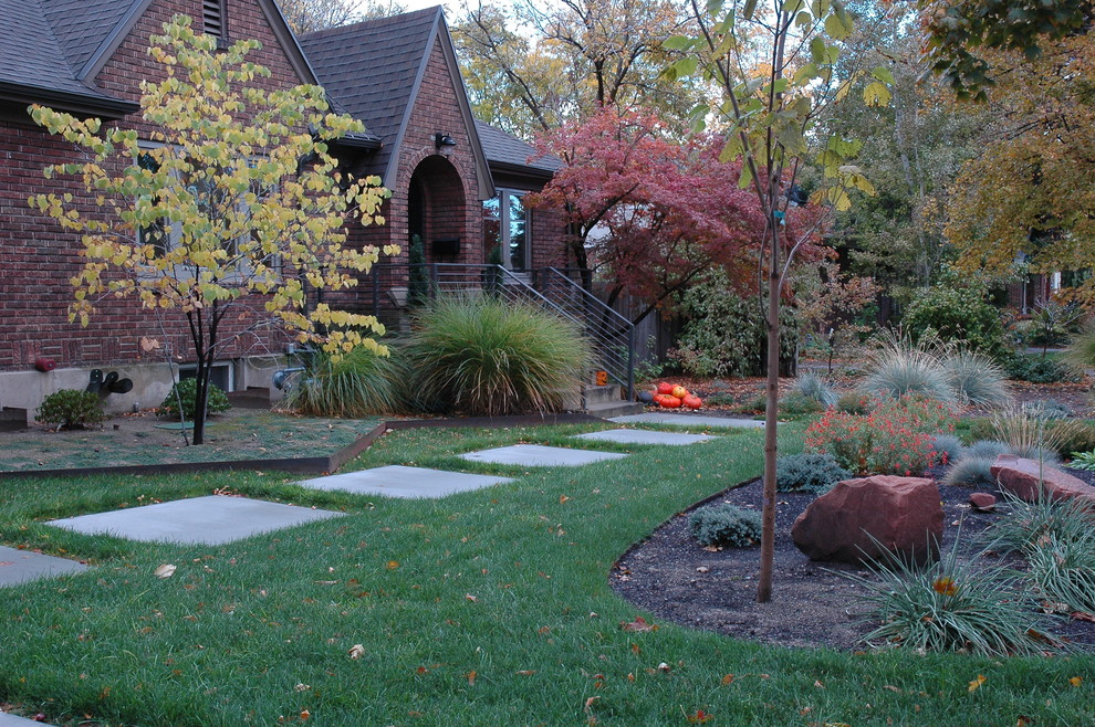 Ispirazione per un piccolo giardino xeriscape minimal esposto a mezz'ombra davanti casa in autunno con pavimentazioni in cemento