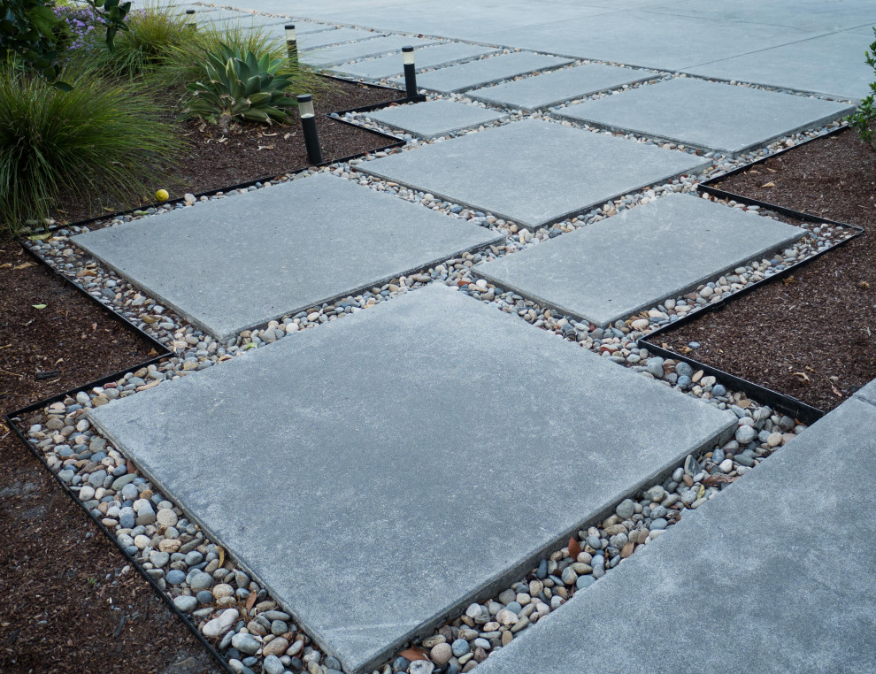 Contemporary front xeriscape garden in San Francisco with a pathway.