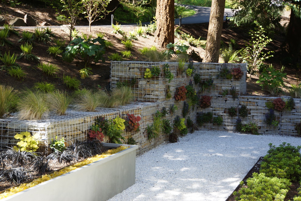 Diseño de jardín contemporáneo con jardín vertical