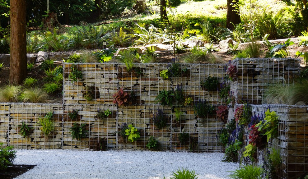 Design ideas for a contemporary landscaping in Seattle.