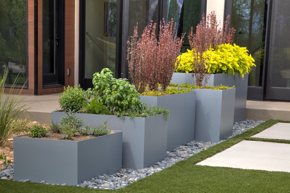 Immagine di un giardino formale moderno esposto in pieno sole dietro casa con un focolare e ghiaia