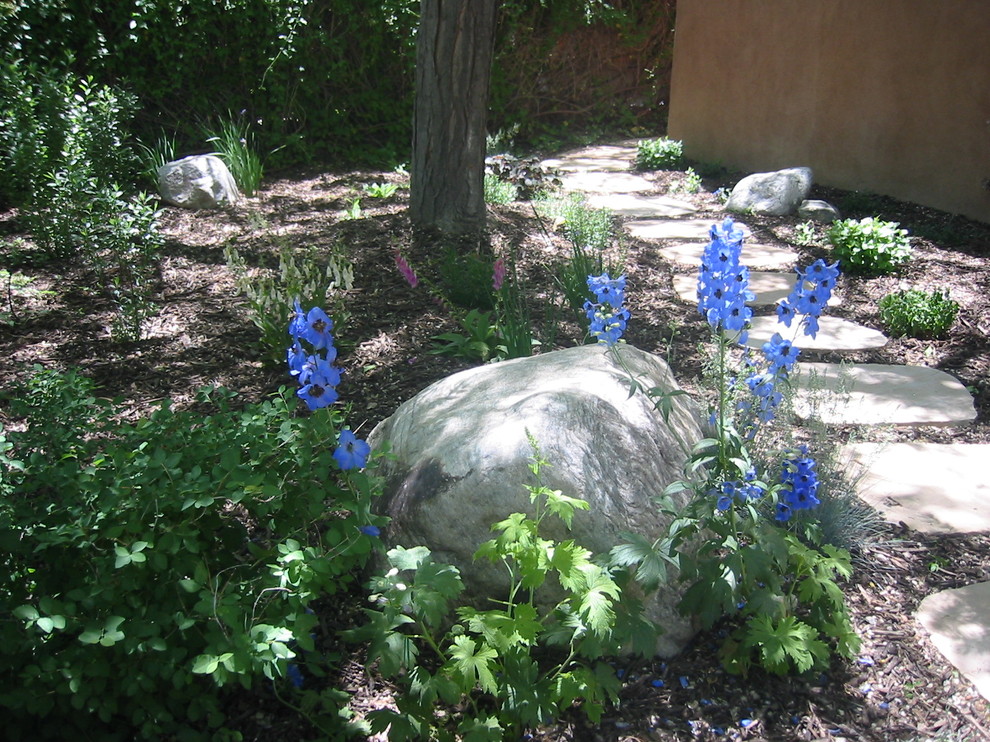 Idéer för mellanstora amerikanska formella trädgårdar i delvis sol framför huset på sommaren, med en trädgårdsgång och naturstensplattor