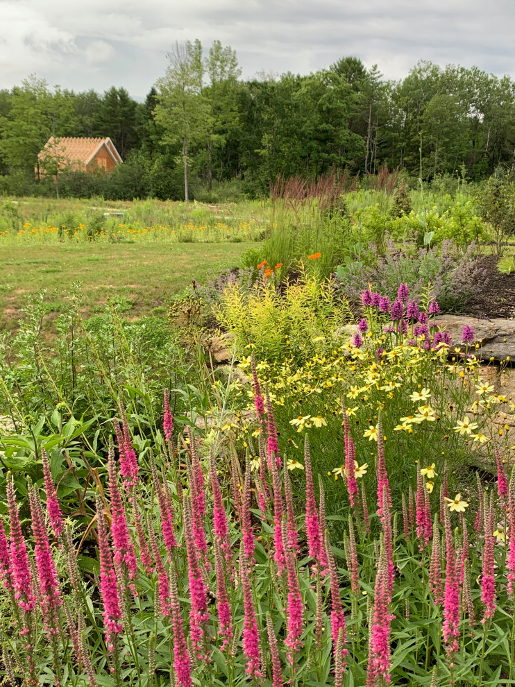 Idée de décoration pour un jardin arrière champêtre de taille moyenne et l'été avec un massif de fleurs et une exposition ensoleillée.
