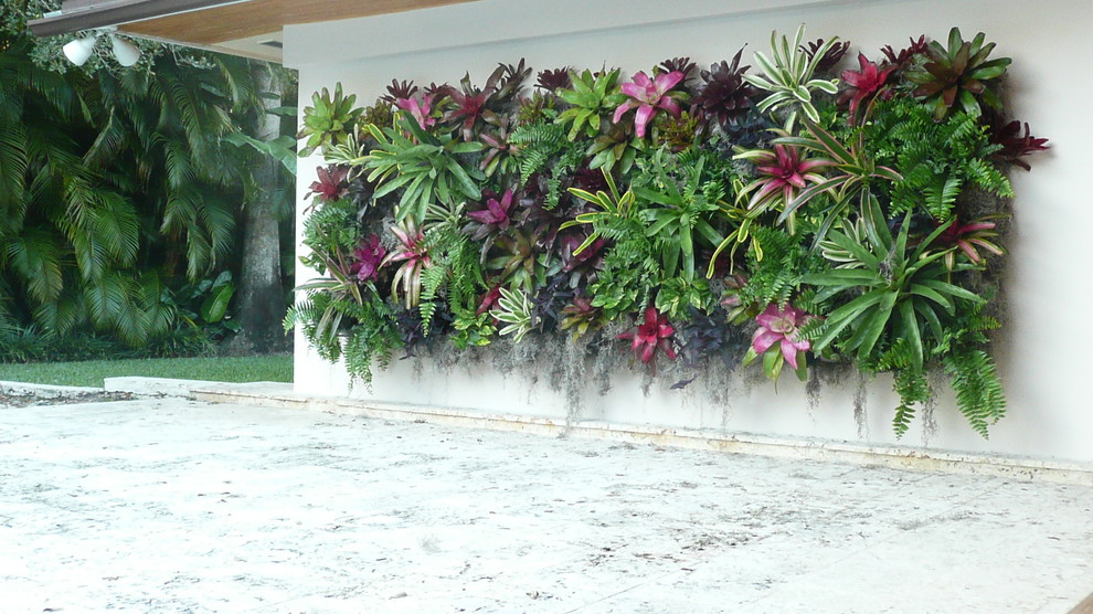 Diseño de jardín exótico con jardín vertical