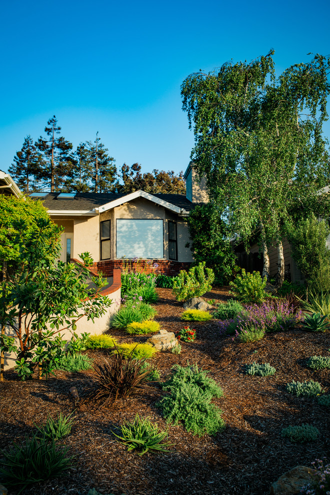 Photo of a mediterranean front full sun garden in San Luis Obispo.