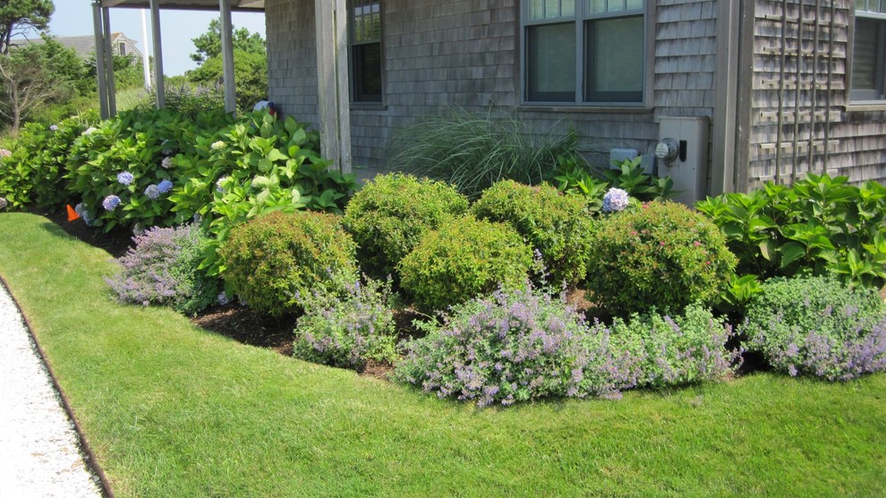 Источник вдохновения для домашнего уюта: солнечный, летний регулярный сад среднего размера на переднем дворе в классическом стиле с садовой дорожкой или калиткой, хорошей освещенностью и мульчированием