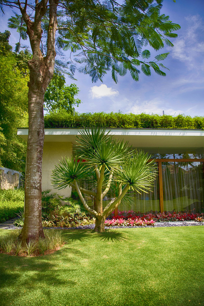 Immagine di un giardino tropicale