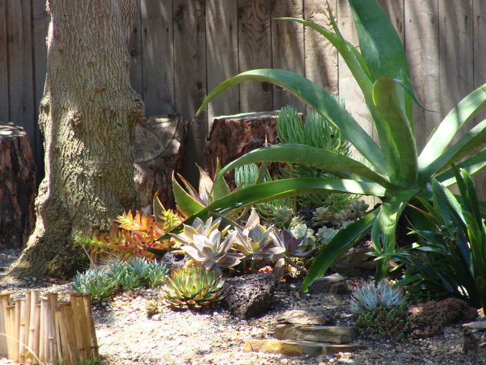 Inspiration for a coastal drought-tolerant and partial sun backyard gravel landscaping in Orange County for spring.