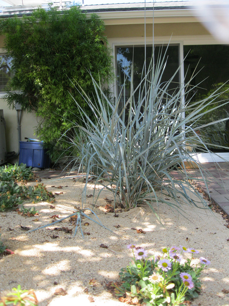 This is an example of a small contemporary garden in Orange County.