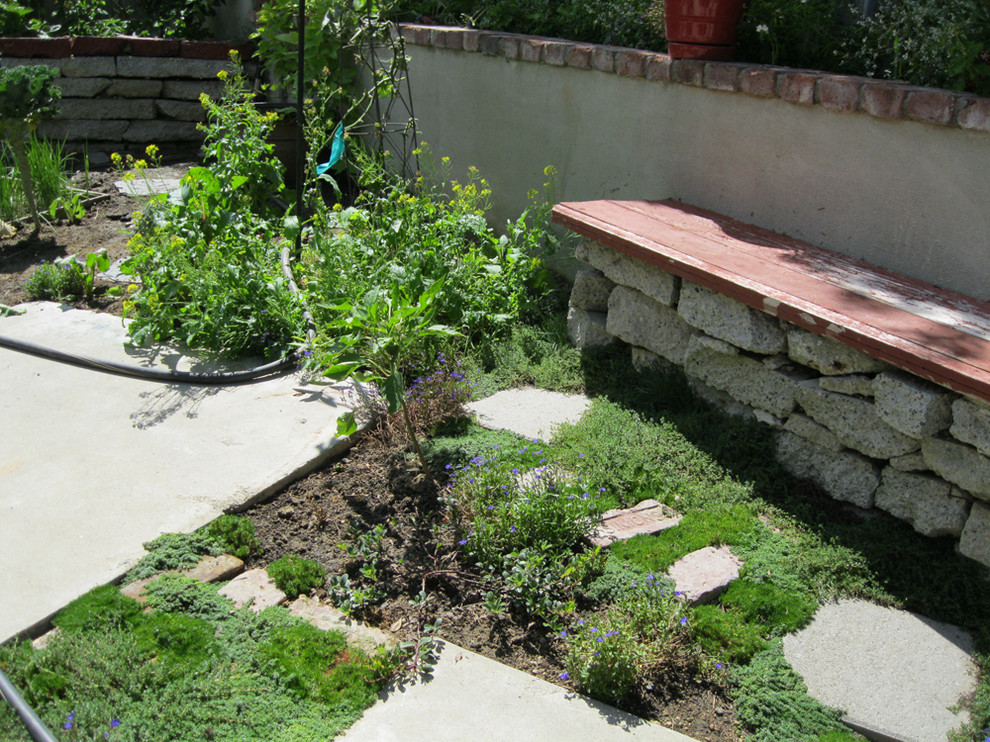 Costa Mesa Edible Entertaining Back Yard Traditional Landscape