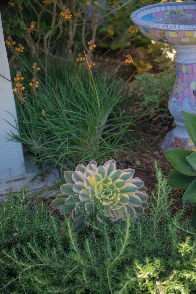 На фото: солнечный, летний засухоустойчивый сад среднего размера на переднем дворе в стиле неоклассика (современная классика) с хорошей освещенностью и мощением клинкерной брусчаткой
