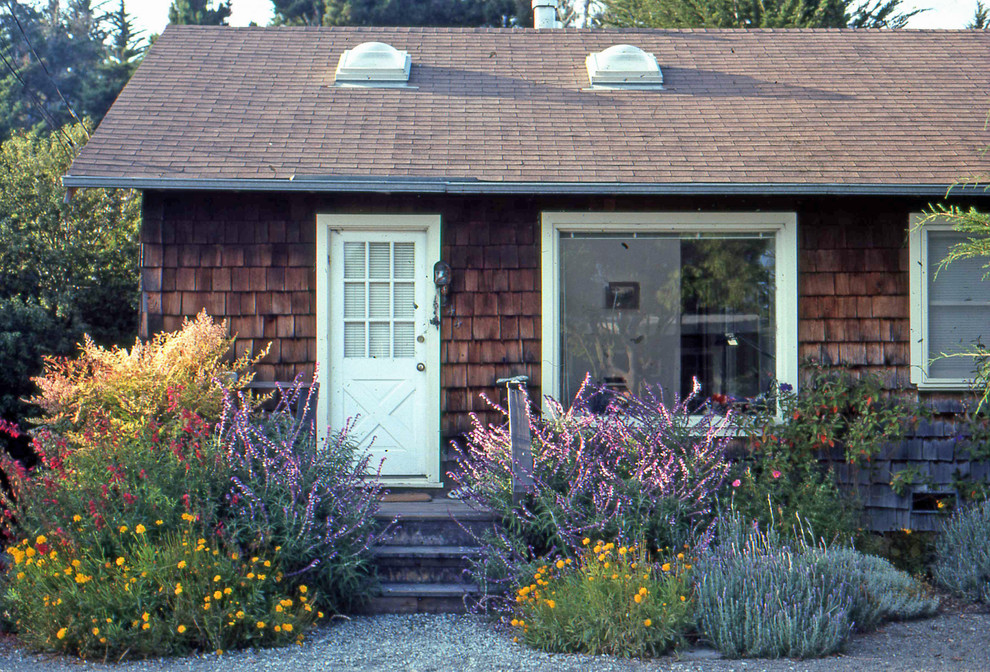 Immagine di un piccolo giardino xeriscape costiero esposto in pieno sole davanti casa in primavera con un ingresso o sentiero, ghiaia e recinzione in legno