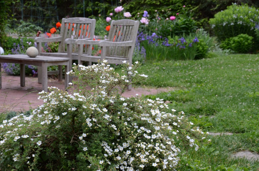 Ejemplo de jardín de secano campestre de tamaño medio en verano en patio trasero con exposición total al sol y adoquines de ladrillo