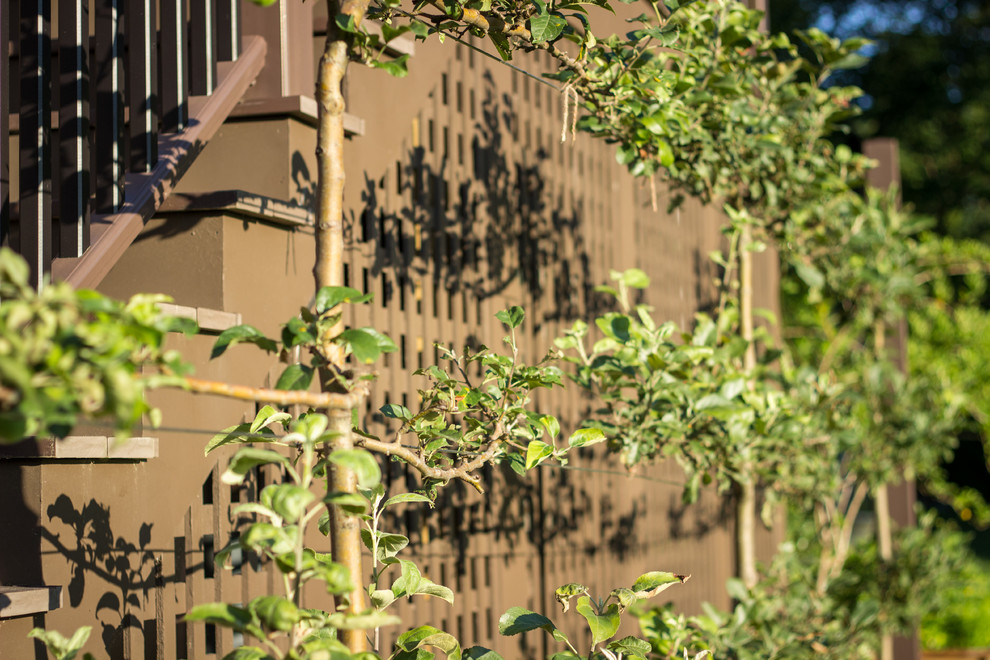 На фото: солнечный, летний регулярный сад среднего размера на заднем дворе в средиземноморском стиле с хорошей освещенностью и покрытием из каменной брусчатки с
