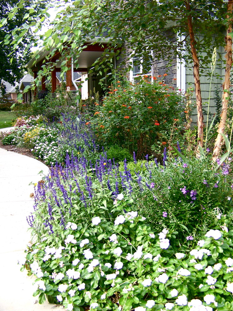 Idéer för en klassisk trädgård i delvis sol framför huset och blomsterrabatt