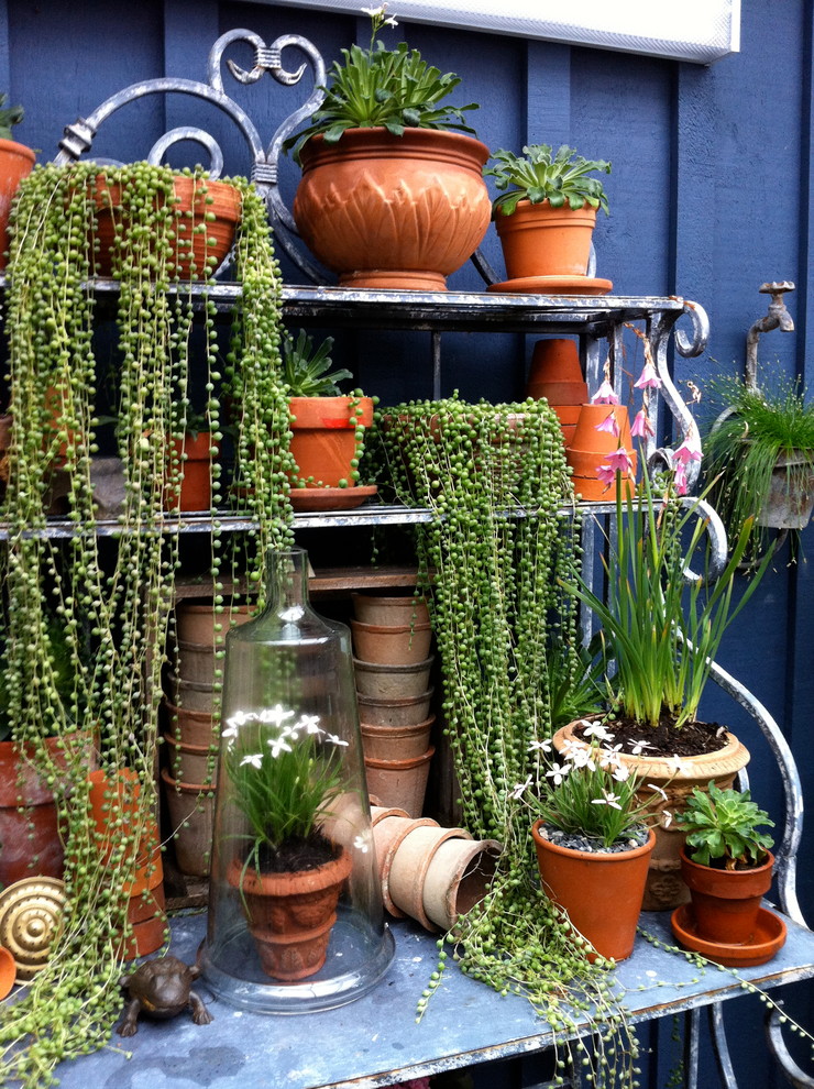 Inspiration for a traditional backyard landscaping in Vancouver.