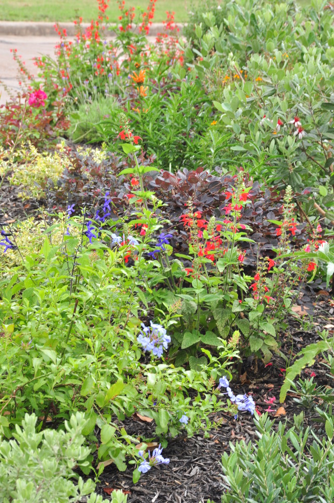 Cottagestyle front yard in Braeswood Place Traditional Garden