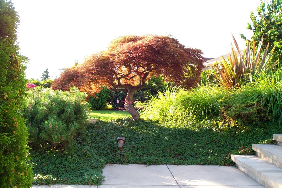 Immagine di un giardino american style