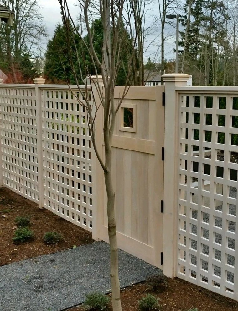 Пример оригинального дизайна: солнечный регулярный сад среднего размера на заднем дворе в стиле модернизм с воротами, хорошей освещенностью и покрытием из гравия