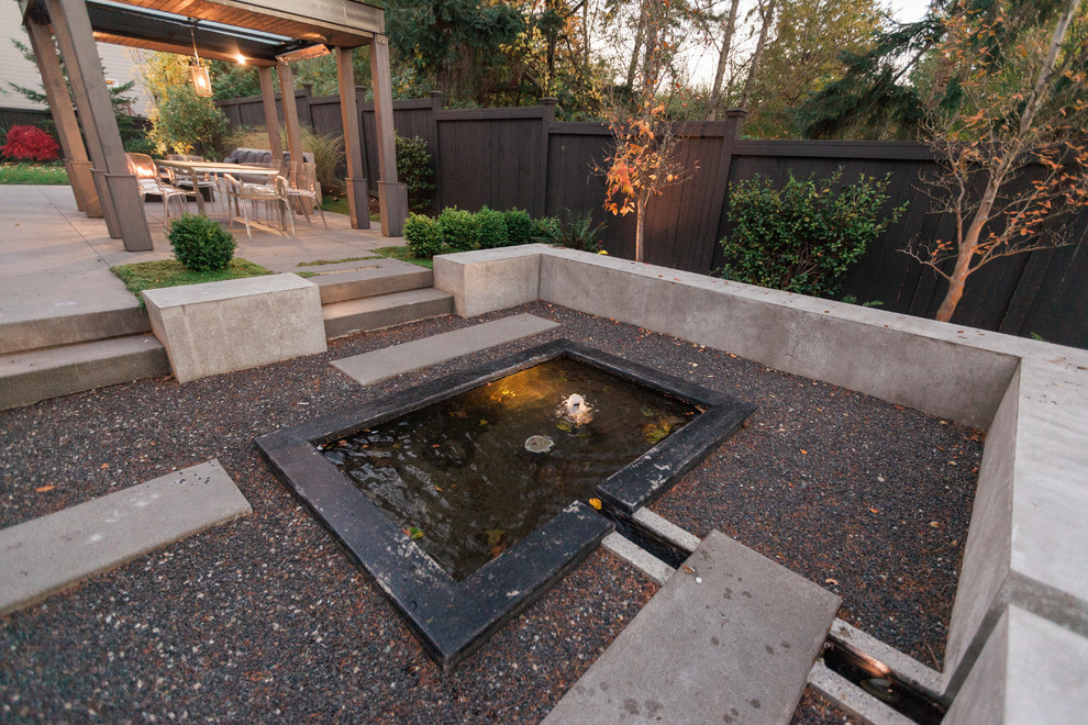 Immagine di un giardino formale minimalista esposto a mezz'ombra di medie dimensioni e dietro casa con fontane e pavimentazioni in cemento