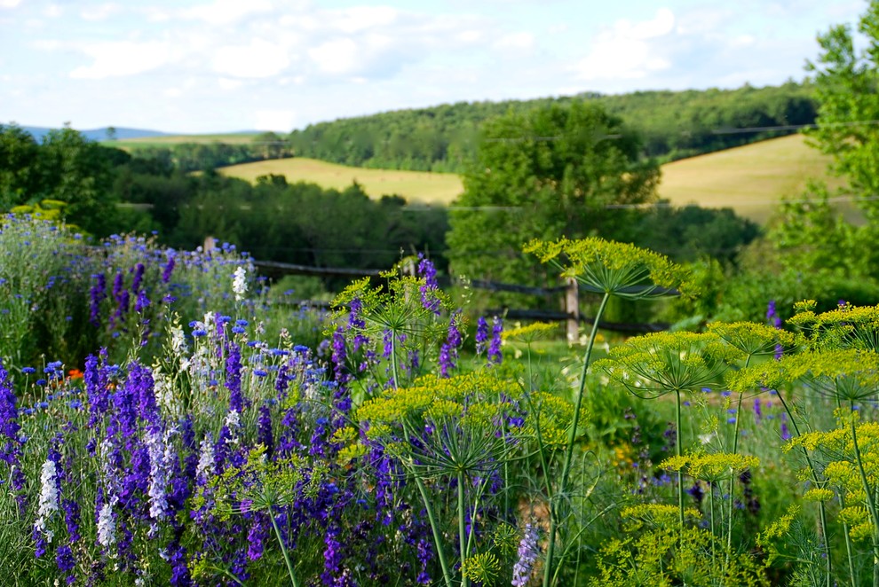 Idee per un grande giardino country esposto in pieno sole dietro casa