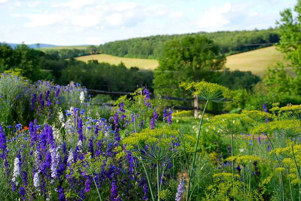 Cette photo montre un grand jardin arrière nature avec une exposition ensoleillée.