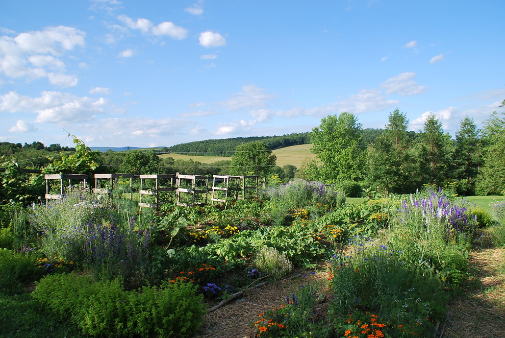 Design ideas for a large farmhouse full sun backyard landscaping in DC Metro.