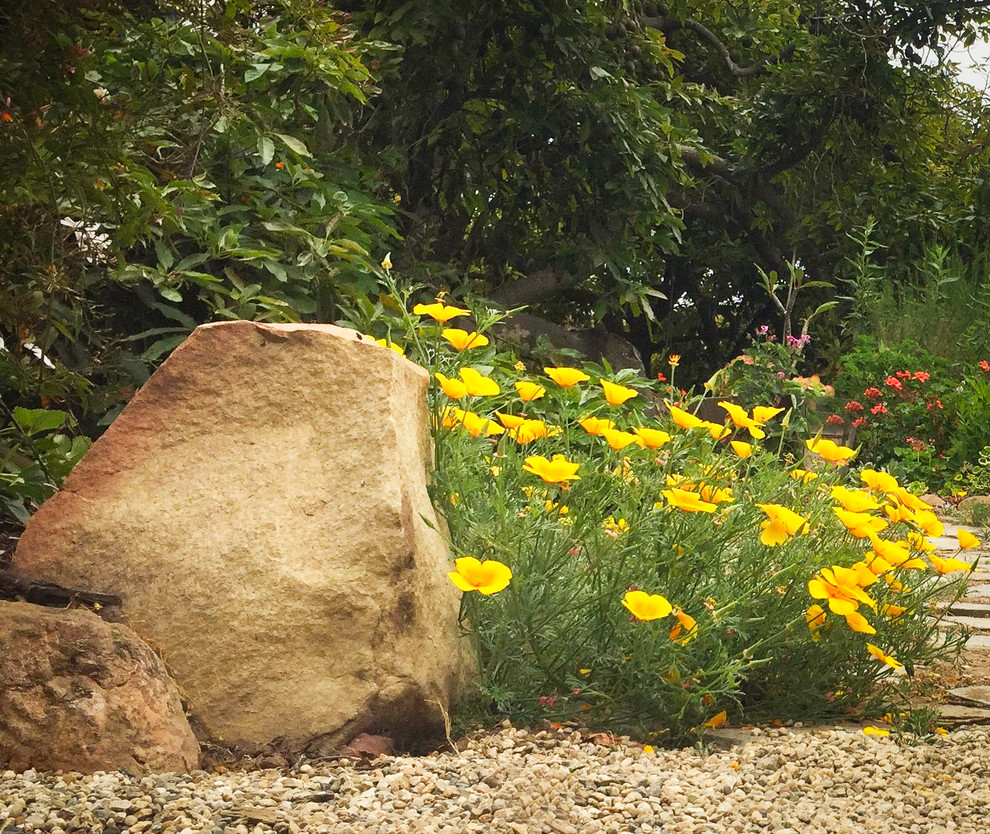 This is an example of a rustic drought-tolerant and full sun front yard gravel garden path in Santa Barbara for spring.