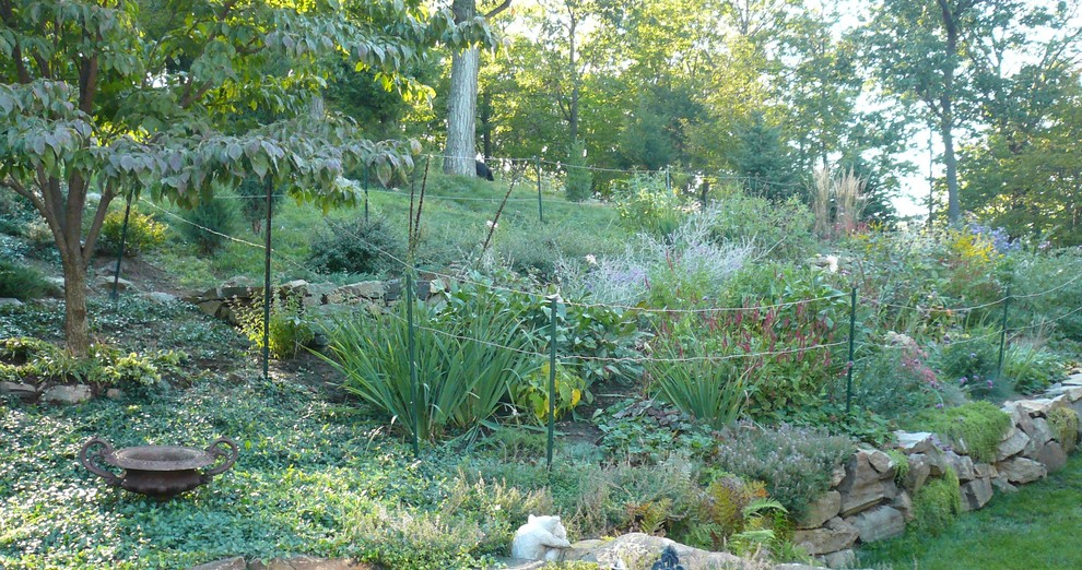 Foto di un ampio giardino xeriscape stile rurale esposto in pieno sole nel cortile laterale in estate con un muro di contenimento